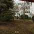 289_2_1